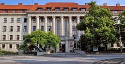 Главное MANDELU